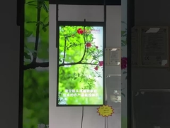 affichage de fenêtre